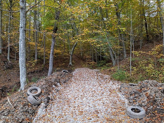 4th image of 2 W Bullrun Valley Dr Lot 2