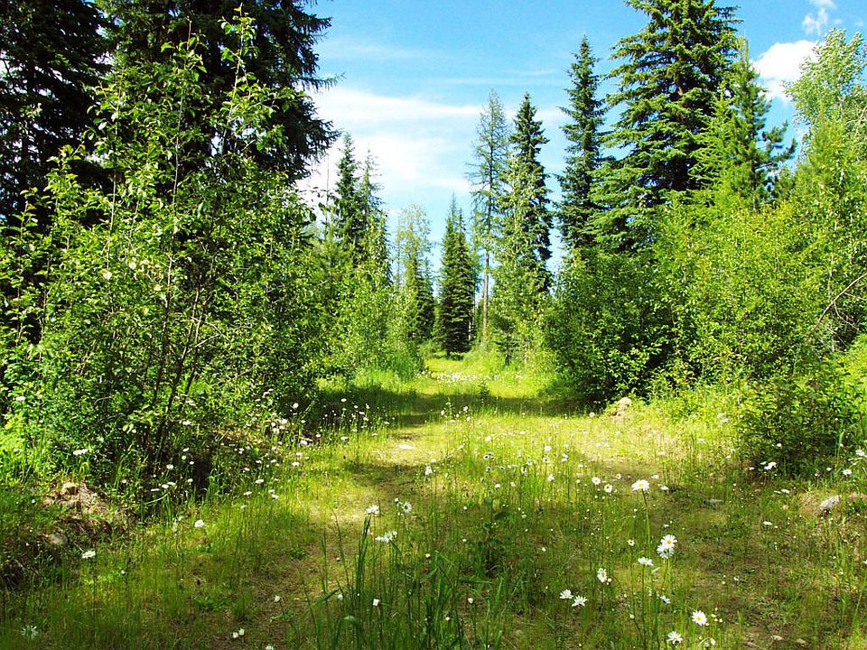 Nhn Trail Creek Rd, Polebridge, MT 59928 Zillow