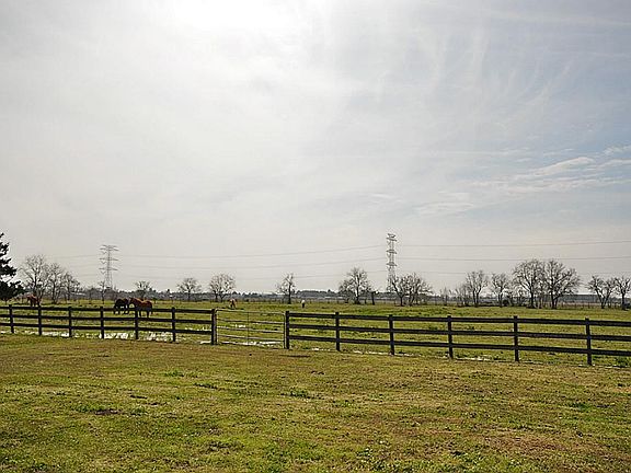 Back pasture