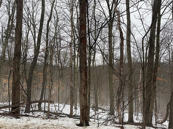 5th image of 0 Cadogan Slate Lick Rd