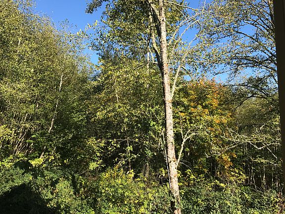 Private view from the deck