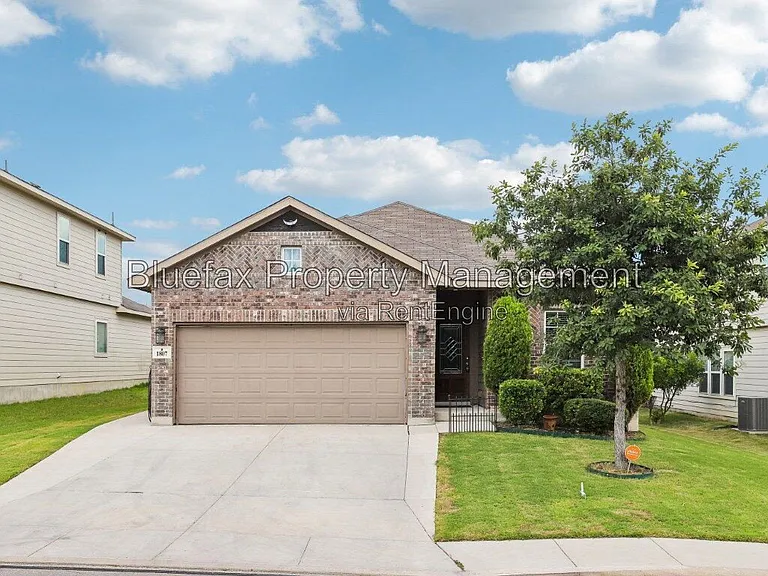 1807 Golden Maple — Photo 1