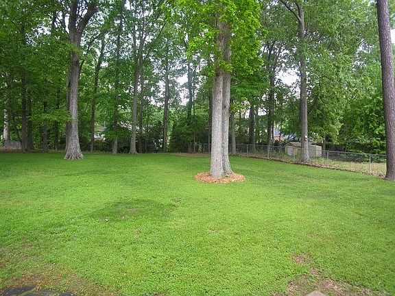 Back yard