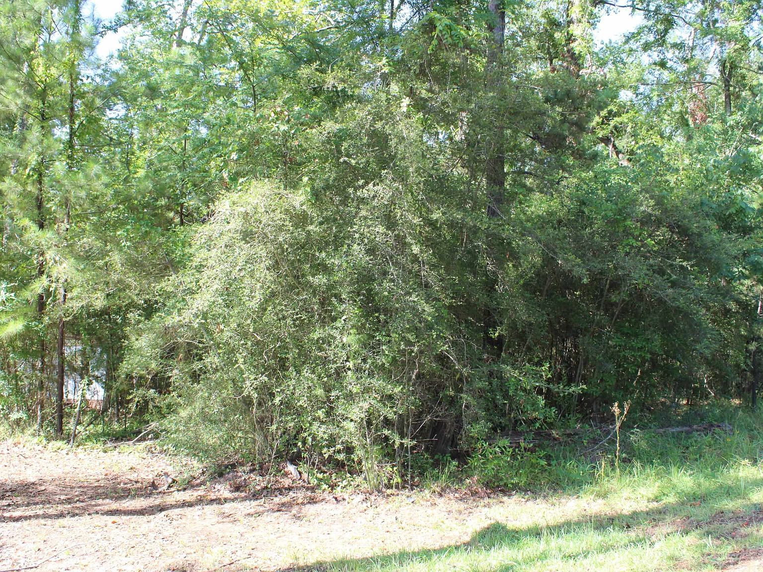 1738 Pleasure Bnd, Hemphill, TX 75948 Zillow