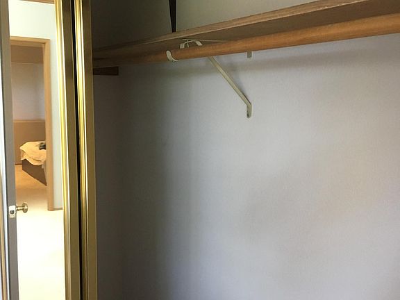 Main bedroom closet.