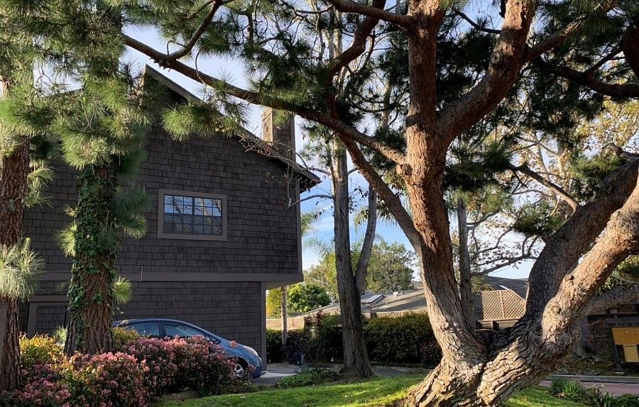 2nd image of 2174 Pacific Ave #1