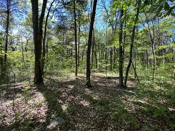 3rd image of 0 Joe Brown Rd Lot 2