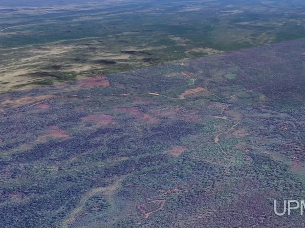 Near Hartman Camp Rd, Manistique, MI 49854