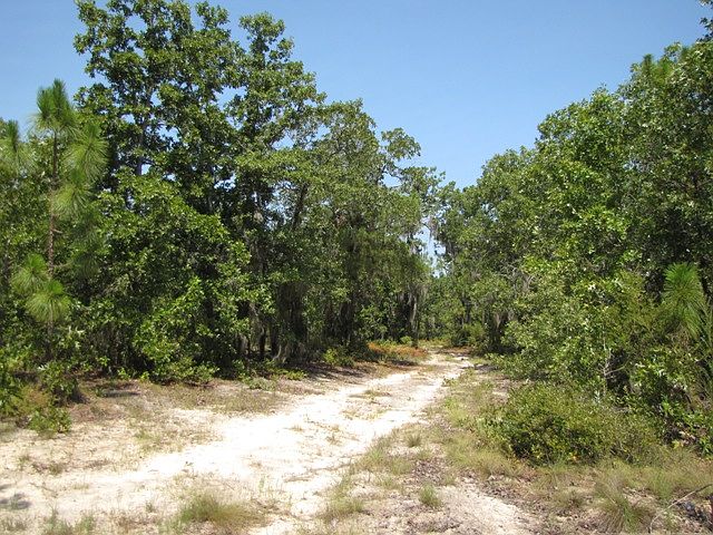 1st image of Vacant Lower Rebecca Road