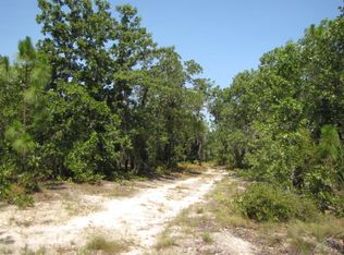 Vacant Lower Rebecca Road, Rebecca, GA 31783