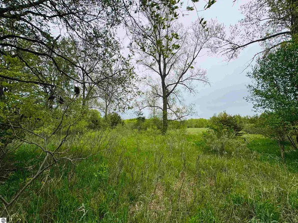 PARCEL B3 Bosscher Rd, Manton, MI 49663