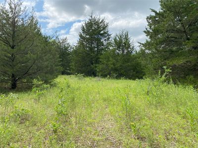 0 Rs County Rd #1605, Pt, TX, 75472