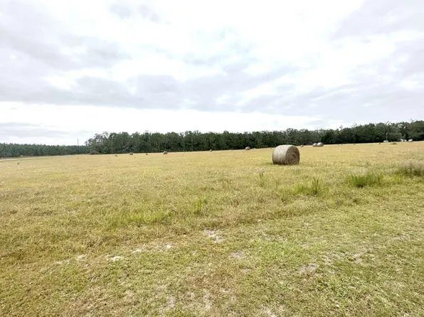 Tbd Nw Cr 251, Mayo, FL 32066