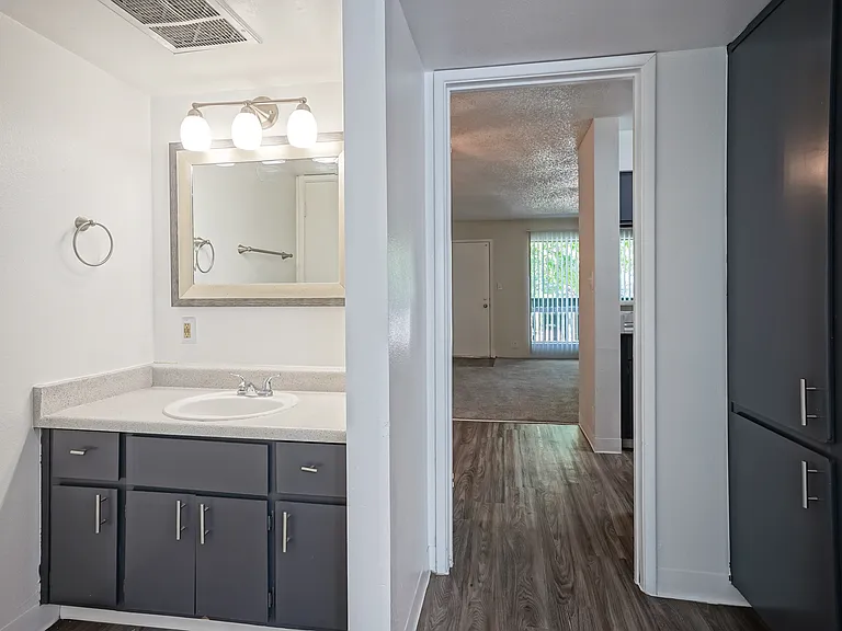 Updated Vanity - Bathroom - Gold Interior