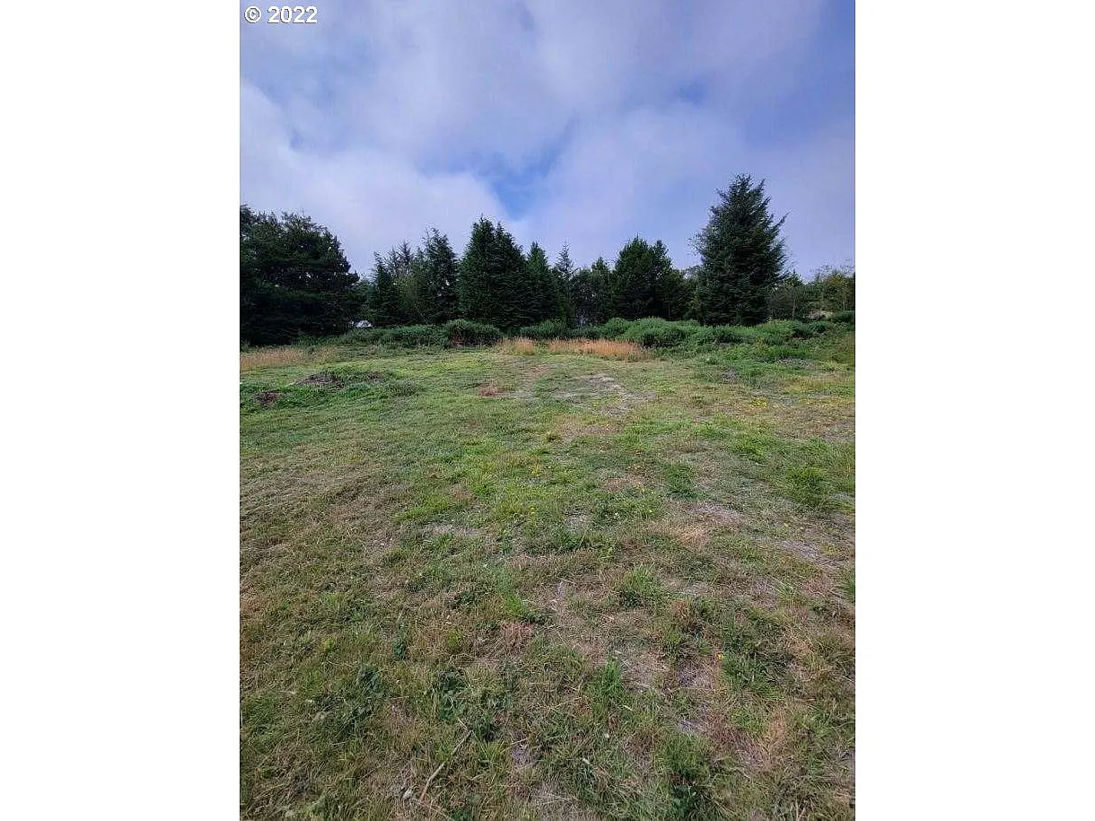 55129 Ruby Loop photo 1