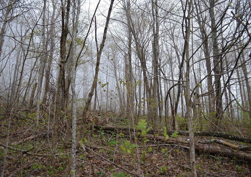 2nd image of 0 Dunlukin Dr Lot 46B