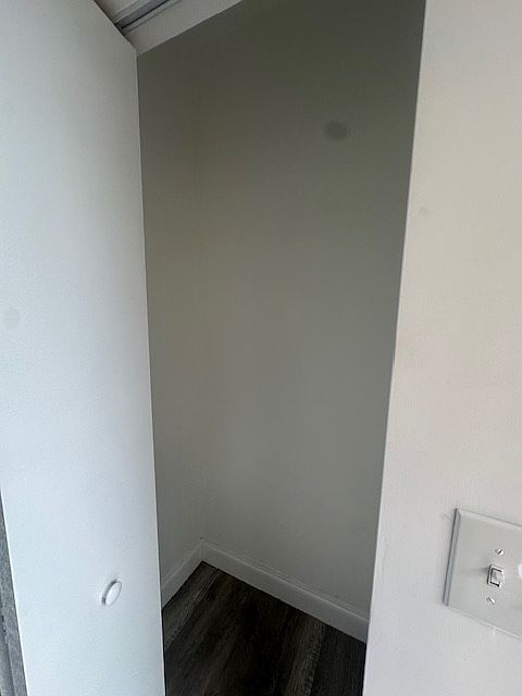 Apartment entrance closet