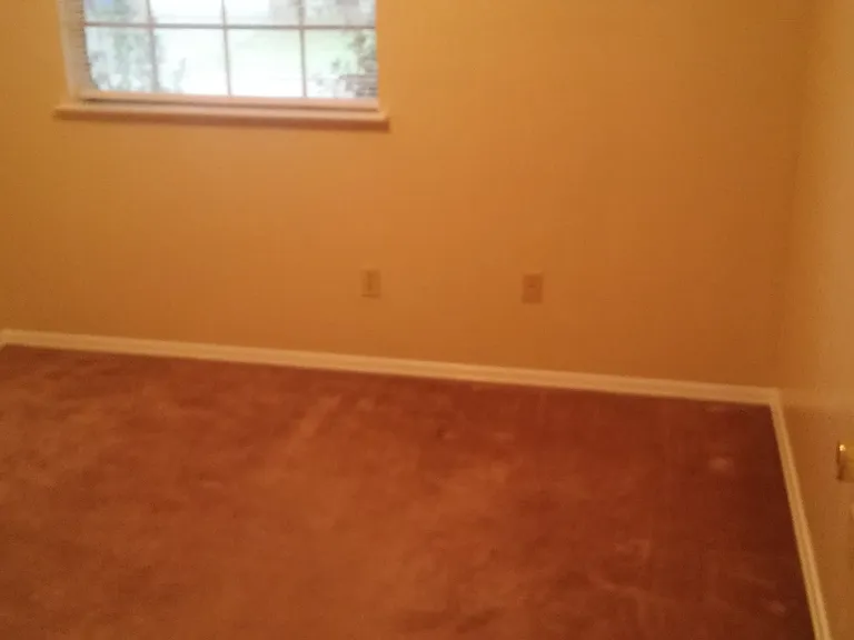 3508 Dewberry Dr — Photo 8
