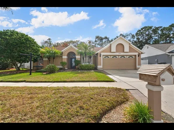 15002 Rocky Ledge Dr, Tampa, FL 33625