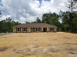 2463 Hibiscus Ave, Middleburg, FL 32068