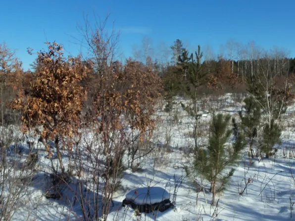 Lots 11 & 12 Pine Tree Trl, Springbrook, WI 54875
