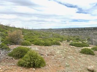 0 Fieldy Rd, Show Low, AZ 85901