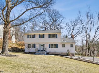 51 Misty Mountain Rd, Randolph, NJ 07869