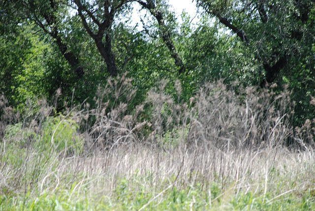 2nd image of 5213 W Us Highway 90