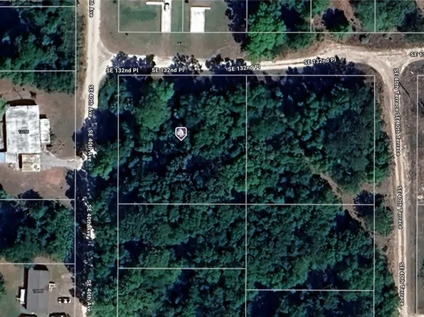 4214-161-001 SE 132nd Pl, Belleview, FL 34420