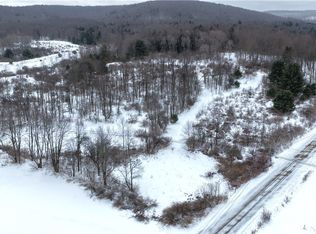 Barker Run Rd Lot 21, Great Valley, NY 14741