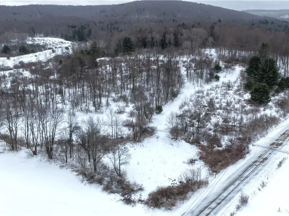 Barker Run Rd Lot 21, Great Valley, NY 14741