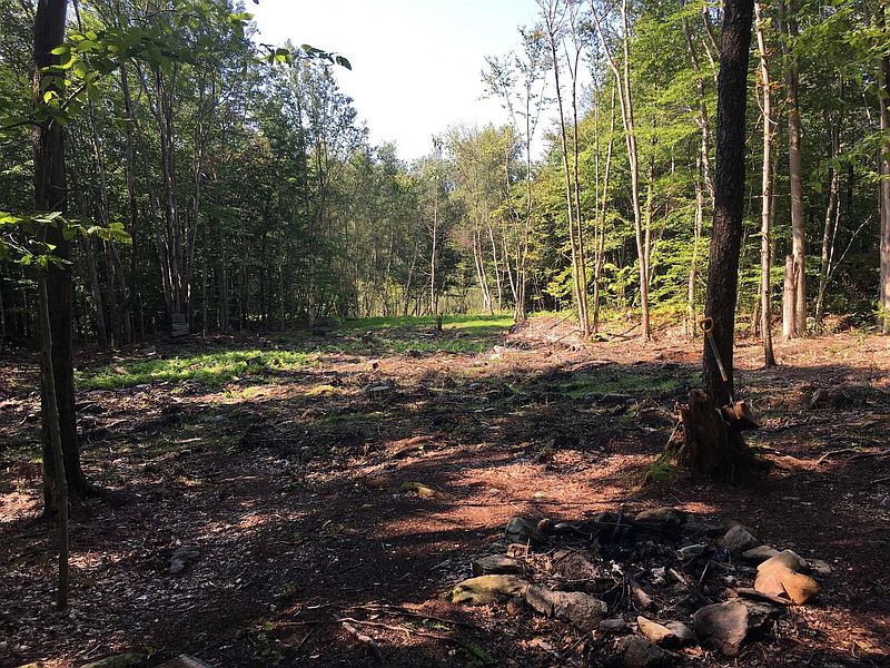 5th image of 173 TACONIC LAKE Road