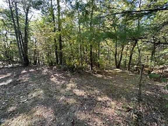 3rd image of Bobcat Ln