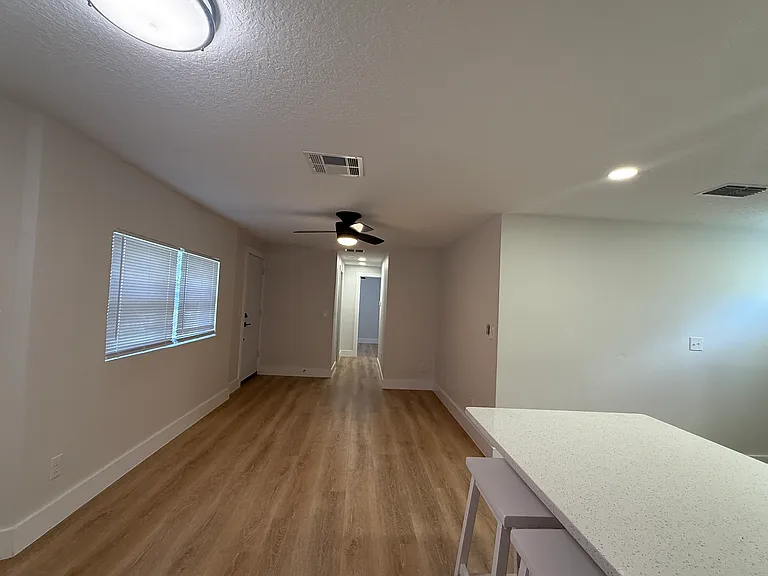 Living room/Kitchen