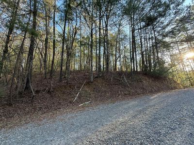 L3675r Fern Dr, Ellijay, GA, 30540