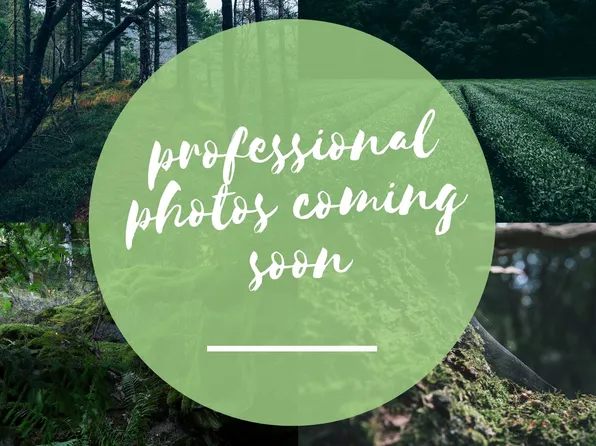 562 Walton Ferry Rd, Hendersonville, TN 37075