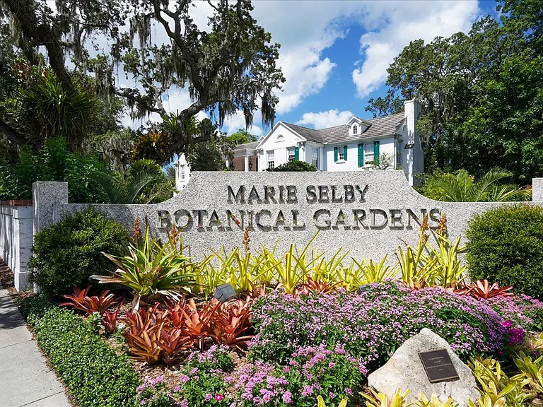 If you looking for another scenic staple that nearby Botanical Gardens near downtown Sarasota is devine