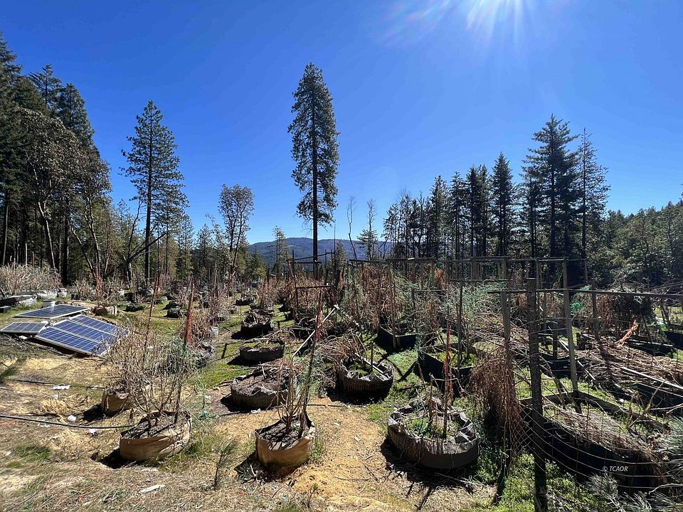 1570 Chrome Mine Rd, Hayfork, CA 96041 Zillow