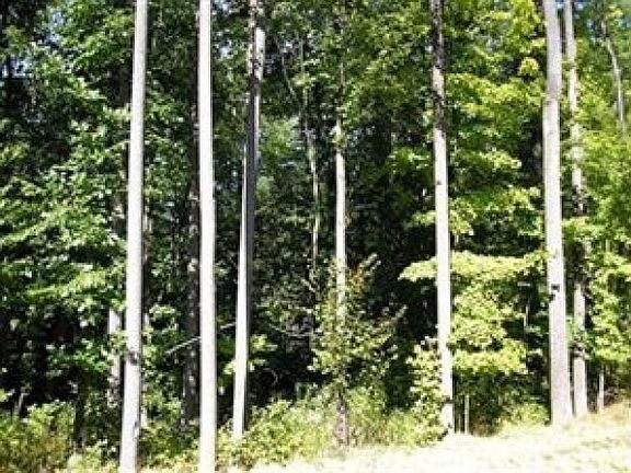 3rd image of 14 Forest Dr