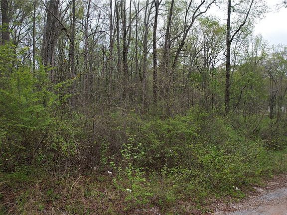 3rd image of 115 Dowell Rd