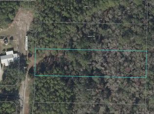 1214 NE Sweetgum Ln, Steinhatchee, FL 32359