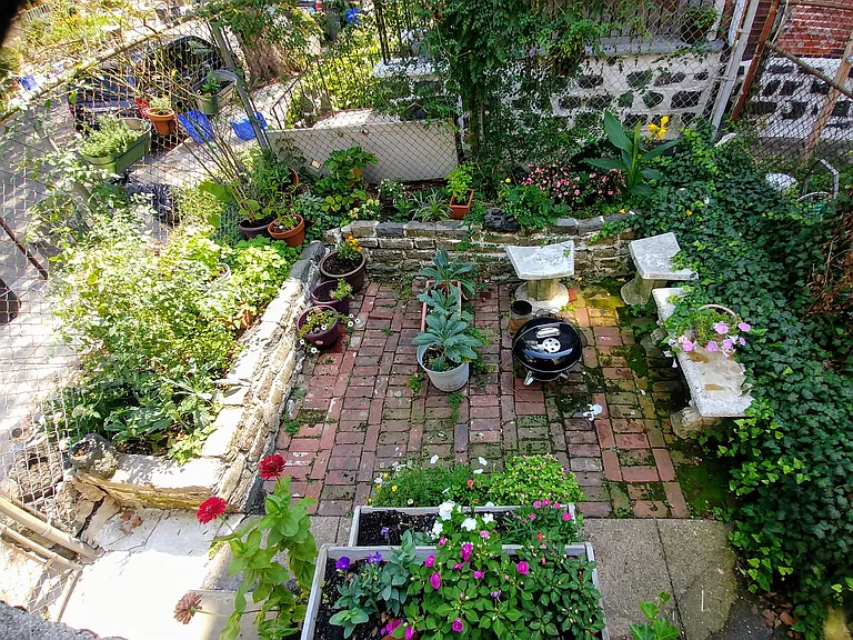 Private backyard space