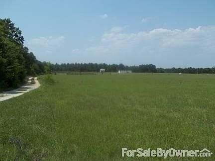 Coastal Bermuda
						:
						a field of coastal hay for horses or to harvest and sale.