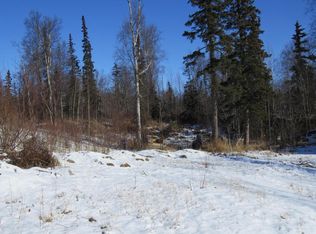 13301 E Soapstone Rd, Palmer, AK 99645