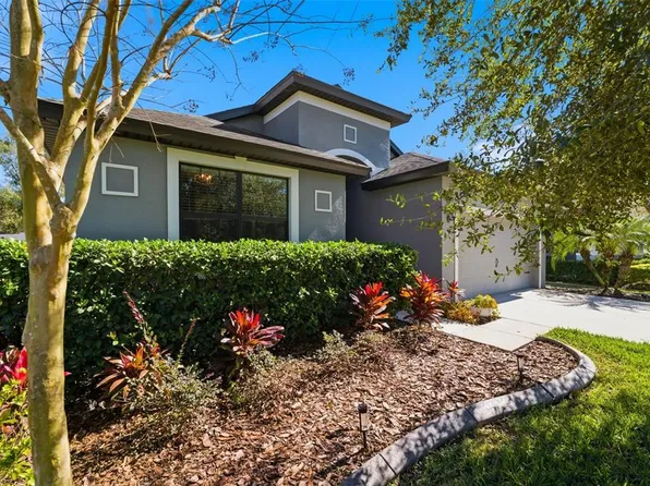 8328 Auburn Rise Ct, Land O Lakes, FL 34638