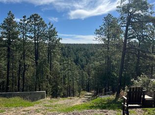 2444 Crooked Road, Pagosa Springs, CO 81147