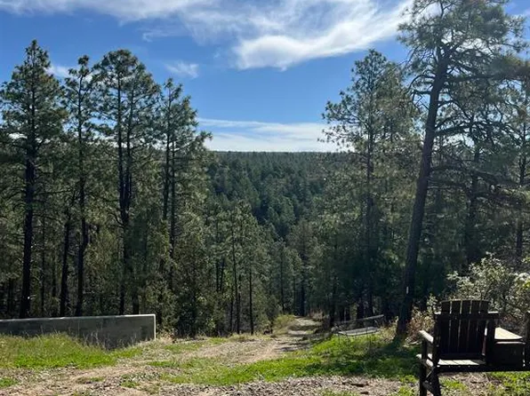 2444 Crooked Road, Pagosa Springs, CO 81147