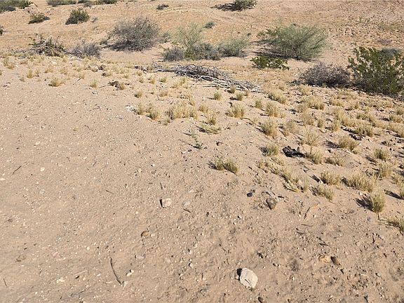 2nd image of 12514 S Pima Parkway