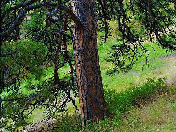 5th image of 0 Box Canyon Ln