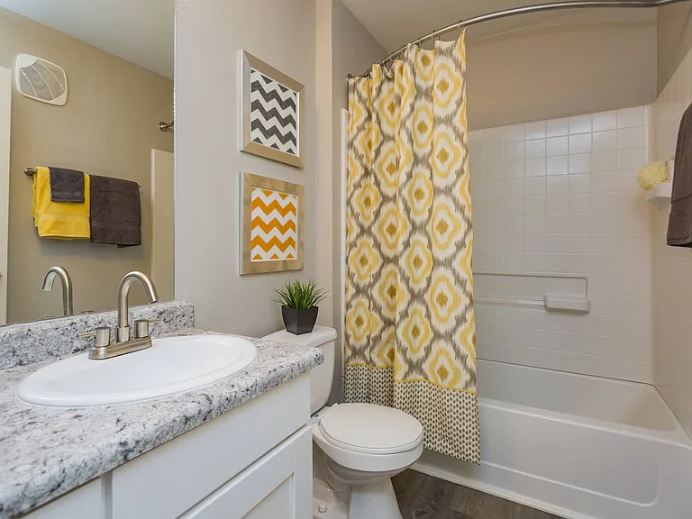 Full Bathroom View